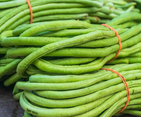 Green long Beans