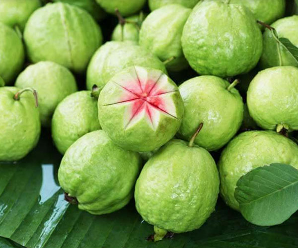 Thai Guava
