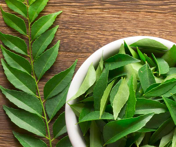 Curry Leaf