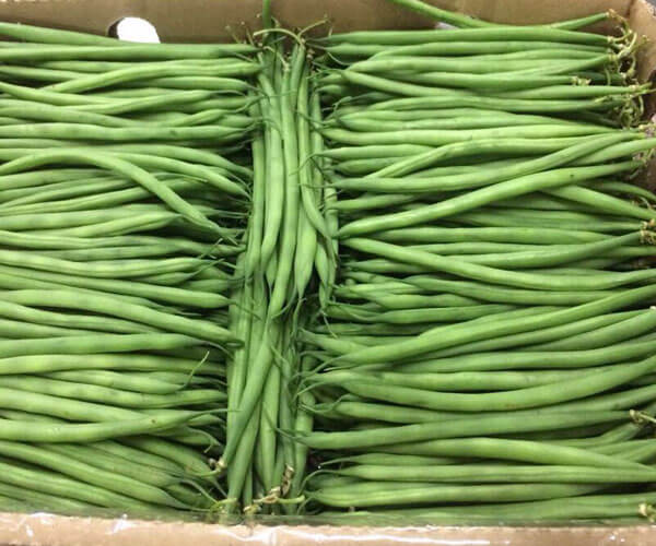 Fine Beans
