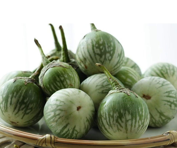 Green Aubergine