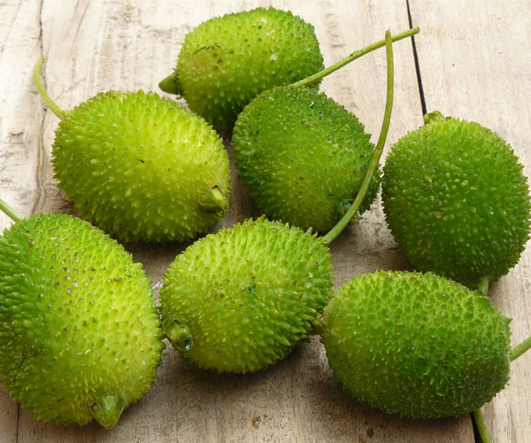Kantola