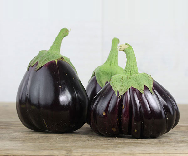 Kenya aubergine