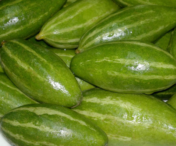 Pani parwal