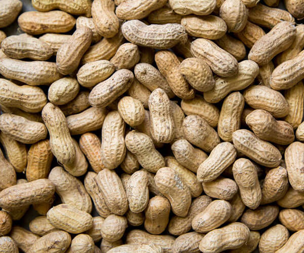 Peanuts