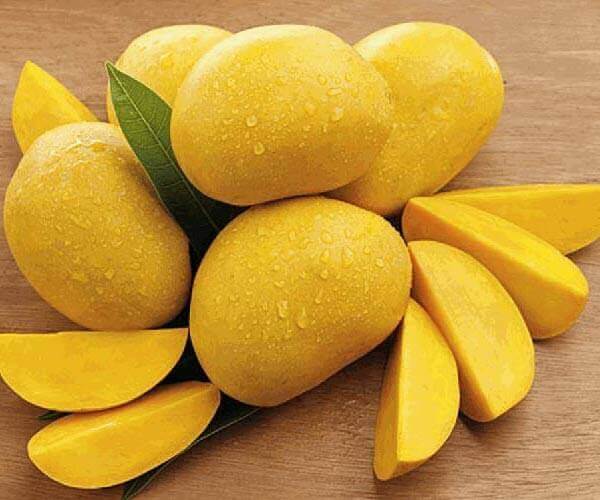 Ripe mango