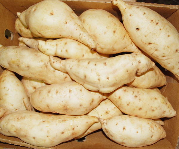 Sweet potatoes